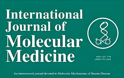 Chronic exposure to simulated space conditions predominantly affects cytoskeleton remodeling and oxidative stress response in mouse fetal fibroblasts
